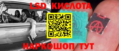 крисы Будённовск