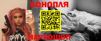 крисы Будённовск