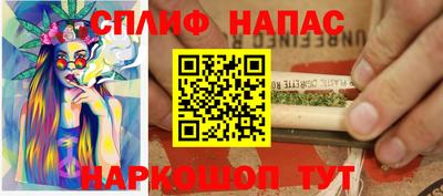 крисы Будённовск