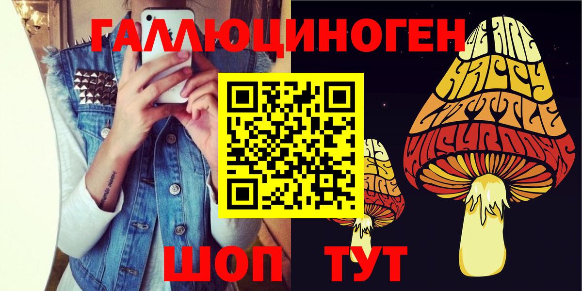 Псилоцибиновые грибы Psilocybine cubensis  Вход с VPN  Кувандык 