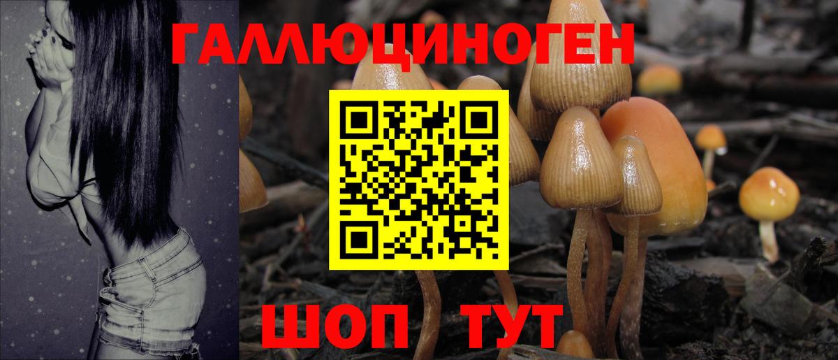 Галлюциногенные грибы Cubensis Кувандык